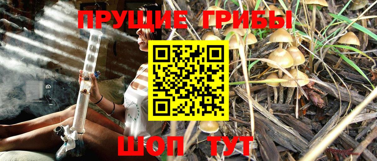 Галлюциногенные грибы ЛСД Тулун